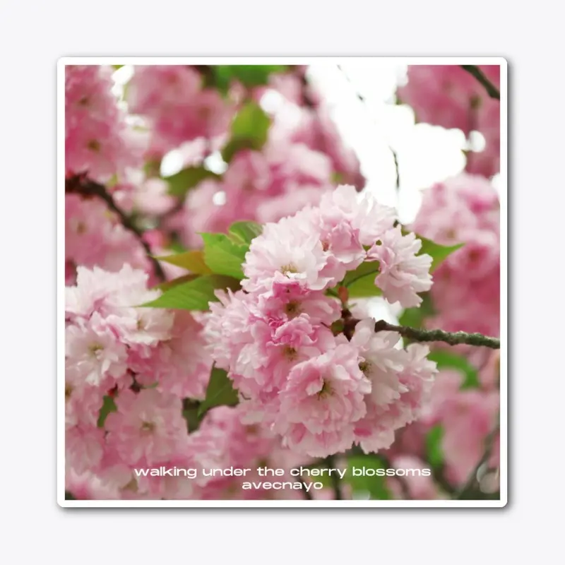 Walking Under The Cherry Blossoms Cover